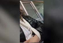 Θεσσαλονίκη: Επίθεση αδέσποτων σκύλων σε γυναίκα & την κόρη της – Ανέβηκαν σε αυτοκίνητο για να σωθούν