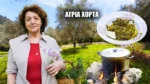 Όπως τότε στο χωριό… Μάζεψε άγρια χόρτα και μαγείρεψε στη φωτιά (video)
