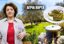 Όπως τότε στο χωριό… Μάζεψε άγρια χόρτα και μαγείρεψε στη φωτιά (video)