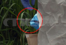 Καρδίτσα: Συμπληρώνεται το παζλ της δολοφονίας του Γιώργου Τσιτόγλου – «Δεν είχε πρόβλημα με κανέναν»