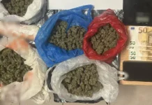 Σύλληψη άνδρα για διακίνηση ναρκωτικών ουσιών στη Λευκάδα