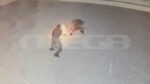 Κρήτη: Μαθητές κατασκεύασαν εκρηκτικό μηχανισμό με οδηγίες από το Tik Tok – Βίντεο ντοκουμέντο από τη στιγμή της έκρηξης