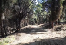 Χαλκιδική: «Όταν καθαρίζαμε εμείς η βαλίτσα ήταν κλειστή» – Μαρτυρία εργάτη της περιοχής στο «Τούνελ»