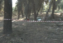 Πευκοχώρι Χαλκιδική: «Έπαθα σοκ όταν είδα το χέρι με τη βέρα» – Στο «Τούνελ» ο πρόεδρος της κοινότητας που βρήκε τη βαλίτσα