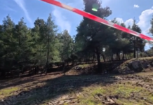 Χαλκιδική: «Το μηχάνημα του δασαρχείου μετακίνησε τη βαλίτσα» – Όσα λέει στο «Τούνελ» ο άνδρας που βρήκε το πτώμα