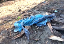 «Η βαλίτσα αν ερευνηθεί σωστά μπορεί να ”δείξει” τον δράστη» – Όσα λέει γενετιστής για το πτώμα που βρέθηκε στη Χαλκιδική