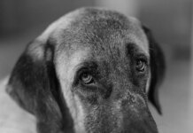 Γιώργος Λάνθιμος: «Κάθε σημαντικό πράγμα στη ζωή μου είναι μια φωτογραφία» – Εγκαινιάστηκε η έκθεση φωτογραφίας του