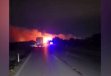 Μάλγαρα: Μεγάλη πυρκαγιά σε ξερά χόρτα διέκοψε την κυκλοφορία και στα δύο ρεύματα της Εθνικής οδού