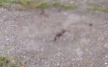 Πυροβόλησαν 28χρονο Τούρκο στη Θεσσαλονίκη – Είχε οικονομικές διαφορές με ομοεθνείς του