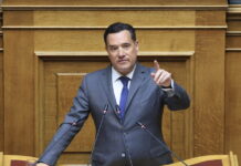 Γεωργιάδης για τις άρσεις ασυλίας: Θα ψηφίσω για να μη μείνει καμία σκιά, ποινικοποιείται μια απολύτως φυσιολογική λειτουργία