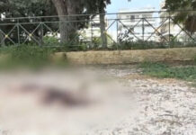 Άγιος Δημήτριος: Άγρια δολοφονία 27χρονου στο πάρκο Ασυρμάτου – Ερωτική αντιζηλία η αφορμή