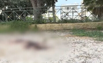 Άγιος Δημήτριος: Άγρια δολοφονία 27χρονου στο πάρκο Ασυρμάτου – Ερωτική αντιζηλία η αφορμή