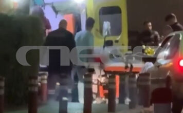 Χανιά: Στο νοσοκομείο αγοράκι 4 ετών έπειτα από άγρια επίθεση από σκύλο