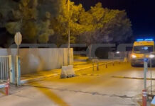 Κρήτη: Στο νοσοκομείο 4χρονος μετά από επίθεση σκύλου