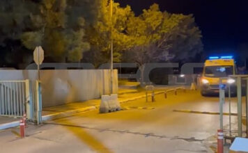 Κρήτη: Στο νοσοκομείο 4χρονος μετά από επίθεση σκύλου