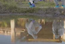 Σιθωνία: Μακάβριο εύρημα σε ξενοδοχειακό συγκρότημα – «Ένα κρανίο & οστά ανθρώπινα»