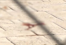 Μαρούσι: 27χρονη έπεσε δύο φορές από μπαλκόνι πολυκατοικίας – Συνελήφθη ο σύντροφός της