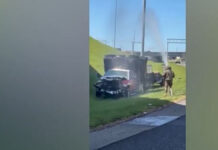 ΗΠΑ: Ανετράπη φορτηγό με μέλισσες σε αυτοκινητόδρομο στο Τενεσί