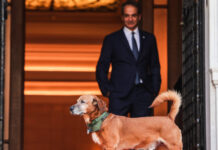 Ο Κυριάκος Μητσοτάκης υποδέχτηκε τον πρίγκιπα Αλβέρτο Β’ του Μονακό μαζί με τον Πίνατ – Τα στιγμιότυπα από το Μέγαρο Μαξίμου