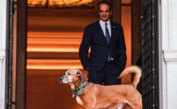 Ο Κυριάκος Μητσοτάκης υποδέχτηκε τον πρίγκιπα Αλβέρτο Β’ του Μονακό μαζί με τον Πίνατ – Τα στιγμιότυπα από το Μέγαρο Μαξίμου