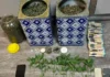 Ιωάννινα: Συνελήφθησαν τέσσερα άτομα για καλλιέργεια και διακίνηση ναρκωτικών (video-φωτο)