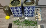 Ιωάννινα: Συνελήφθησαν τέσσερα άτομα για καλλιέργεια και διακίνηση ναρκωτικών (video-φωτο)