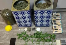 Ιωάννινα: Συνελήφθησαν τέσσερα άτομα για καλλιέργεια και διακίνηση ναρκωτικών (video-φωτο)