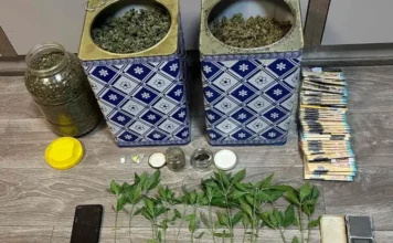 Ιωάννινα: Συνελήφθησαν τέσσερα άτομα για καλλιέργεια και διακίνηση ναρκωτικών (video-φωτο)
