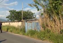 Καλαμάτα: Άνδρας εντοπίστηκε νεκρός μέσα σε στάβλο – Είχε τραύμα από όπλο στο κεφάλι