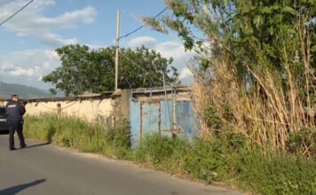 Καλαμάτα: Άνδρας εντοπίστηκε νεκρός μέσα σε στάβλο – Είχε τραύμα από όπλο στο κεφάλι