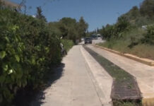 Φιλοπάππου: Χτύπησε δύο άνδρες επειδή του είχαν κάνει παρατήρηση για τα περιττώματα του σκύλου του