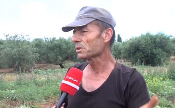 «Βρήκα πεταμένα τον καφέ και το τοστ που μου έφερνε…» – Όσα αποκάλυψε εργάτης του Αλέξανδρου Δασκαλάκη για την υπόθεση