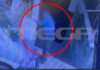 Κρήτη: Κάμερα κατέγραψε πρώην αντιδήμαρχο τη στιγμή που θανατώνει γατάκι χτυπώντας το στον τοίχο