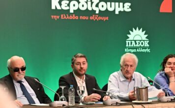Ανδρουλάκης στην επιτροπή Διεύρυνσης: Το πρόγραμμα του ΠΑΣΟΚ θα κάνει καλύτερη τη ζωή των πολιτών