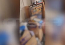 Περιστέρι: Αυτό είναι το σπίτι που 6 ανήλικοι ζούσαν σε άθλιες συνθήκες – MEGA ντοκουμέντο