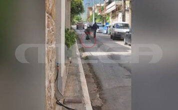 Τιθορέα: Εξαρθρώθηκε η «συμμορία των 8» μετά τη ληστεία σε τράπεζα – Κατηγορούνται για 11 ληστείες