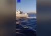 Κλίμα εναντίον της Ελλάδας προσπαθεί να δημιουργήσει η Τουρκία – Ανασύρουν παλιό βίντεο από το Φαρμακονήσι