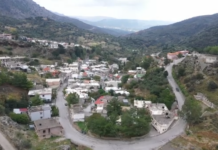 Κρήτη: Ξυλοκοπούσαν αγρότες στα Βορίζια για να παίρνουν επιδοτήσεις από τον ΟΠΕΚΕΠΕ – Συλλήψεις