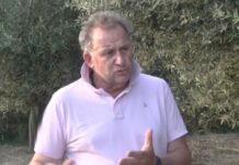 «Μου είπαν μη μπλέξεις με τα χωράφια…» – Ο πρώην διαχειριστής των κτημάτων του Κ. Γρεβενίτη μιλά στο Τούνελ