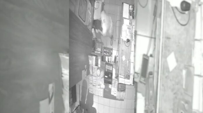Capture-179.jpg