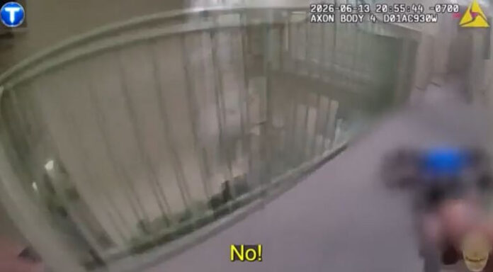 Capture-242.jpg