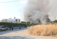 Σε πύρινο κλοιό πολλές περιοχές της χώρας – 41 πυρκαγιές συνολικά