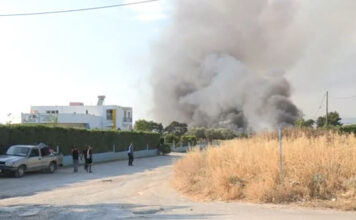 Σε πύρινο κλοιό πολλές περιοχές της χώρας – 41 πυρκαγιές συνολικά