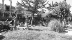 Καλλιθέα: Φονική συμπλοκή ανηλίκων – Νεκρός 15χρονος από μαχαιριά στον θώρακα