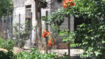 Διπλό έγκλημα στο Αίγιο: Το μυστήριο με την «κρυφή» πόρτα, τα βίντεο και τα «θαμμένα» στοιχεία