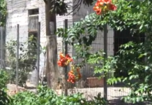 Διπλό έγκλημα στο Αίγιο: Το μυστήριο με την «κρυφή» πόρτα, τα βίντεο και τα «θαμμένα» στοιχεία