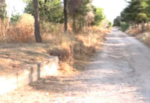 «Μπαλάκι» οι ευθύνες για τις ακαθάριστες εκτάσεις στον Υμηττό – Ο αντιδήμαρχος Αργυρούπολης-Ελληνικού στο MEGA