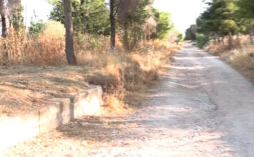«Μπαλάκι» οι ευθύνες για τις ακαθάριστες εκτάσεις στον Υμηττό – Ο αντιδήμαρχος Αργυρούπολης-Ελληνικού στο MEGA