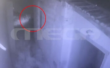 Θεσσαλονίκη: Πρόστιμο 270.000 ευρώ σε 55χρονο που εγκατέλειψε 9 γάτες – «Δεν γνώριζα τους νόμους περί εγκατάλειψης ζώου»