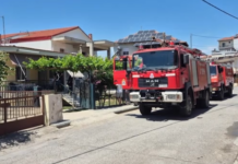 Γιαννιτσά: Στο MEGA ο αστυνομικός που έσωσε δύο αδελφάκια από φλεγόμενο διαμέρισμα